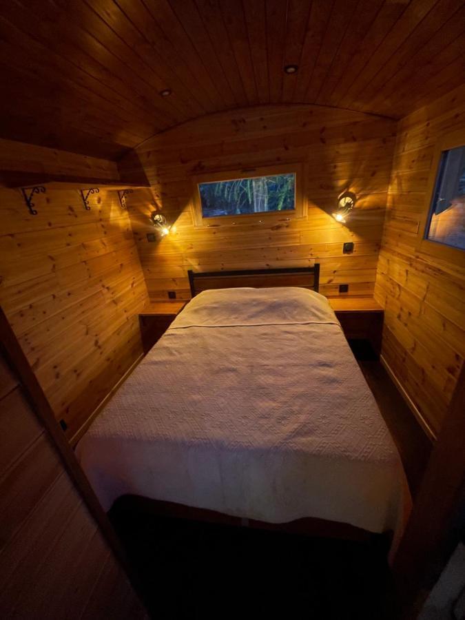 Alpine Love Shack Villar-Saint-Pancrace エクステリア 写真